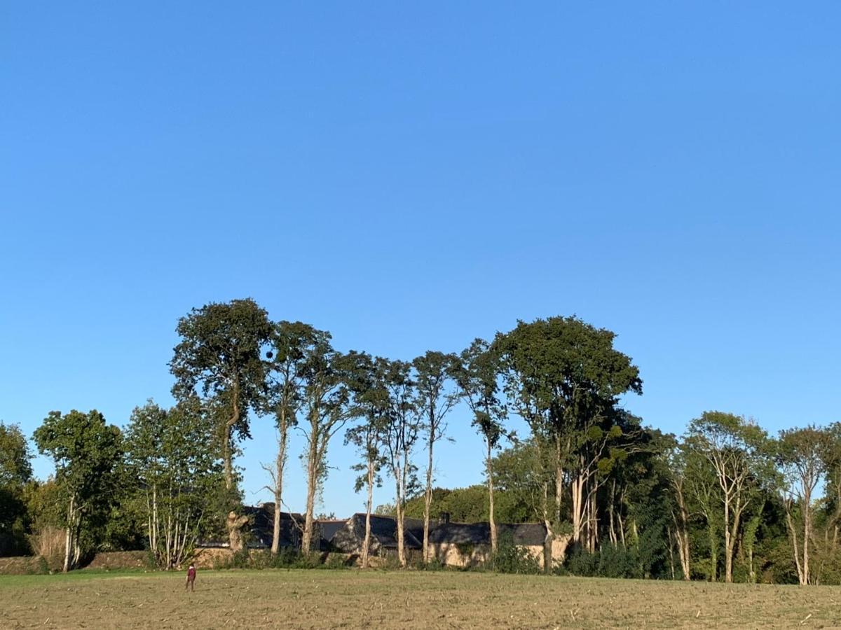 Jolie Metairie D'Une Seigneurie Bretonne. Peaule Kültér fotó